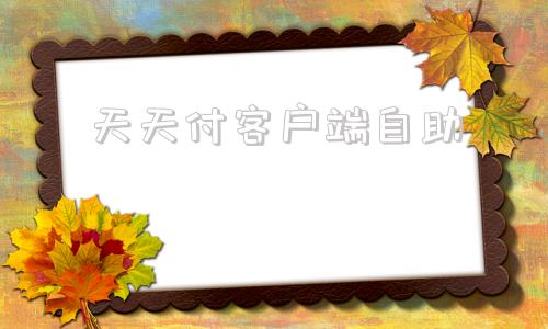 天天付客户端自助天天付POS有支付许可吗