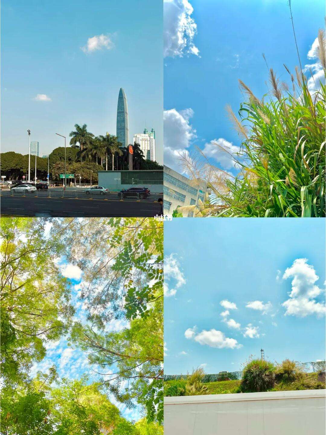 调色阳光苹果版下载调色板palette官网-第2张图片-太平洋在线下载